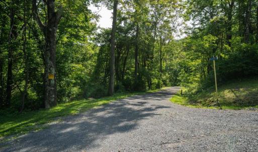 Photo #10 of LOT D45-49, STANLEY, VA 4.0 acres