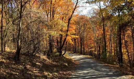 Photo #2 of LOT D45-49, STANLEY, VA 4.0 acres
