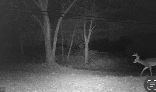 Photo #10 of LEE HWY, WARRENTON, VA 37.2 acres