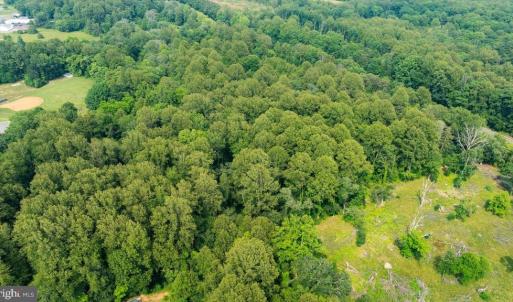 Photo #2 of SEMINOLE TRL, MADISON, VA 7.8 acres