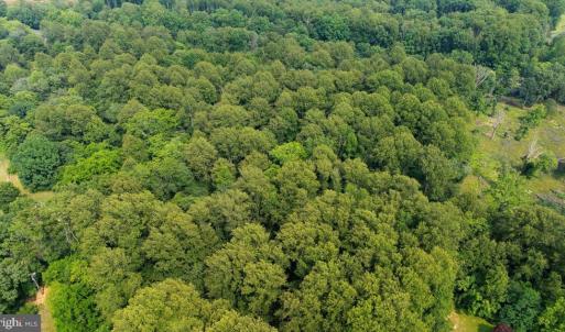 Photo #4 of SEMINOLE TRL, MADISON, VA 7.8 acres