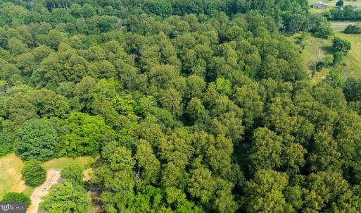 Photo #5 of SEMINOLE TRL, MADISON, VA 7.8 acres