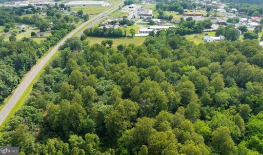 Photo #8 of SEMINOLE TRL, MADISON, VA 7.8 acres