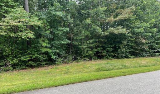 Photo #2 of NOAH'S LANDING DRIVE, BUMPASS, VA 1.1 acres