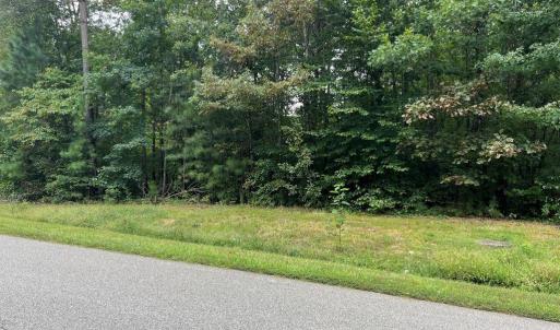 Photo #1 of NOAH'S LANDING DRIVE, BUMPASS, VA 1.1 acres