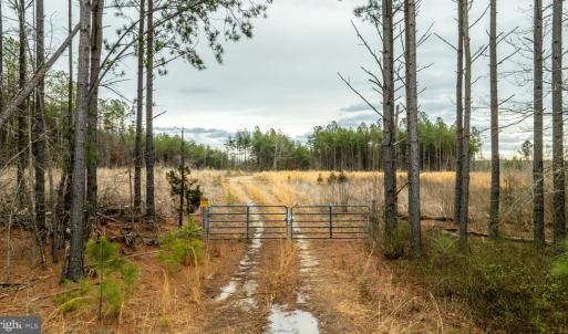 Photo #7 of 7812 GRAND BROOKS RD, SPOTSYLVANIA, VA 30.6 acres