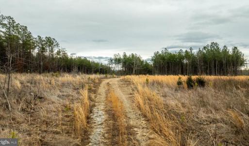 Photo #12 of 7812 GRAND BROOKS RD, SPOTSYLVANIA, VA 30.6 acres