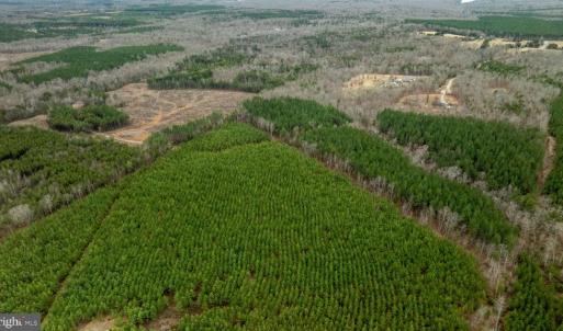 Photo #18 of 7812 GRAND BROOKS RD, SPOTSYLVANIA, VA 30.6 acres