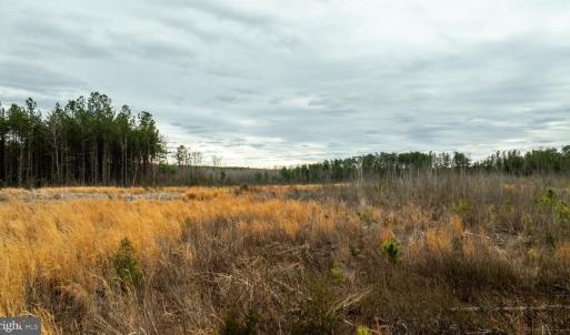 Photo #20 of 7812 GRAND BROOKS RD, SPOTSYLVANIA, VA 30.6 acres