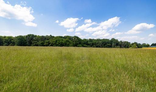 Photo #29 of SUNNYVIEW DR, RILEYVILLE, VA 40.6 acres