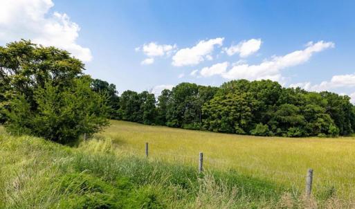 Photo #34 of SUNNYVIEW DR, RILEYVILLE, VA 40.6 acres