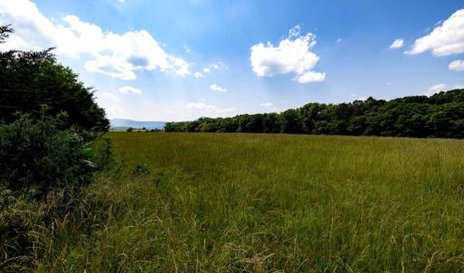Photo #3 of SUNNYVIEW DR, RILEYVILLE, VA 40.6 acres
