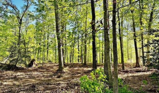 Photo #1 of TAPPS FORD RD, AMISSVILLE, VA 5.1 acres