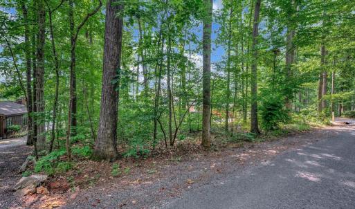 Photo #11 of 121 HILLSIDE DR, LOCUST GROVE, VA 0.3 acres