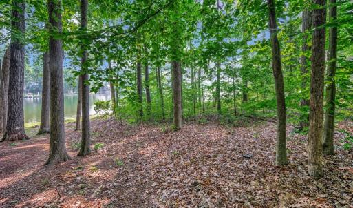 Photo #12 of 121 HILLSIDE DR, LOCUST GROVE, VA 0.3 acres