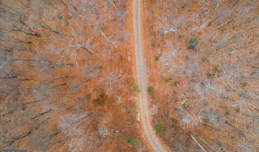 Photo #20 of PRIMROSE, MARSHALL, VA 94.7 acres