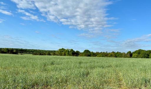 Photo #3 of ZACHARY TAYLOR HWY LOTS 1-12, UNIONVILLE, VA 25.0 acres