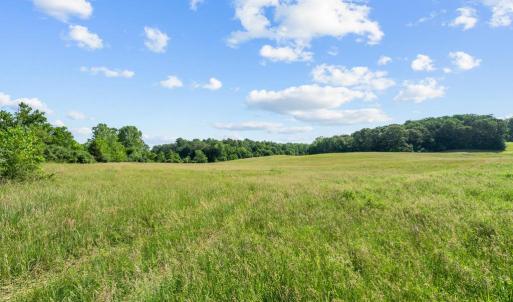 Photo #6 of ELLETT LN, RIXEYVILLE, VA 11.8 acres