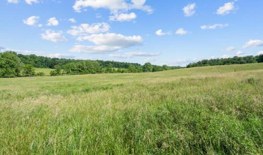 Photo #7 of ELLETT LN, RIXEYVILLE, VA 11.8 acres