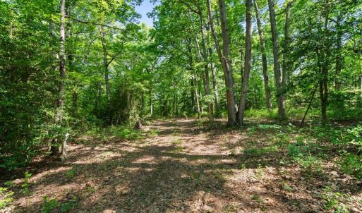 Photo #8 of ELLETT LN, RIXEYVILLE, VA 11.8 acres