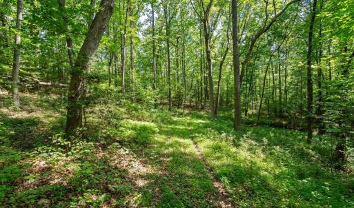 Photo #9 of ELLETT LN, RIXEYVILLE, VA 11.8 acres