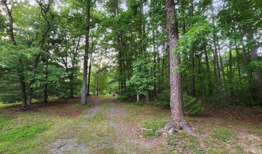 Photo #28 of 272 MOON SHADOW LN, LOUISA, VA 5.0 acres