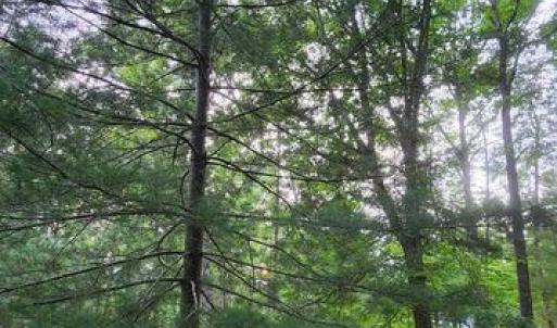 Photo #43 of 272 MOON SHADOW LN, LOUISA, VA 5.0 acres