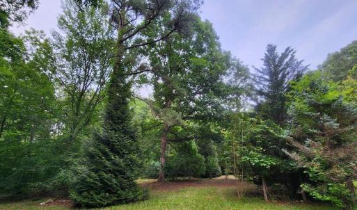Photo #36 of 272 MOON SHADOW LN, LOUISA, VA 5.0 acres