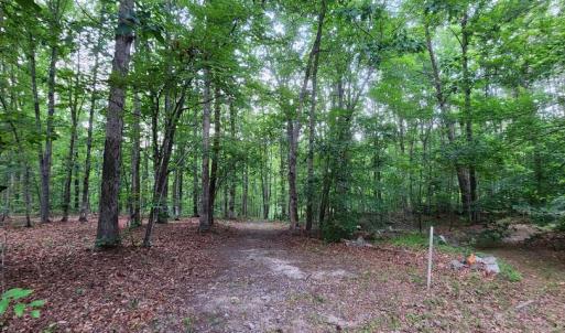 Photo #33 of 272 MOON SHADOW LN, LOUISA, VA 5.0 acres