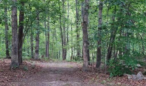 Photo #32 of 272 MOON SHADOW LN, LOUISA, VA 5.0 acres