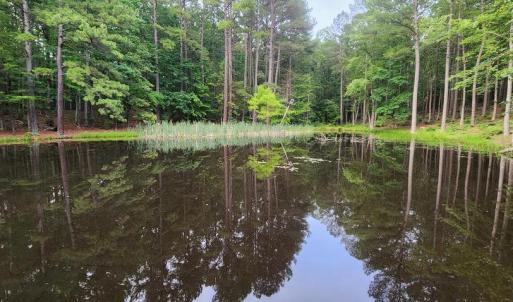 Photo #25 of 272 MOON SHADOW LN, LOUISA, VA 5.0 acres