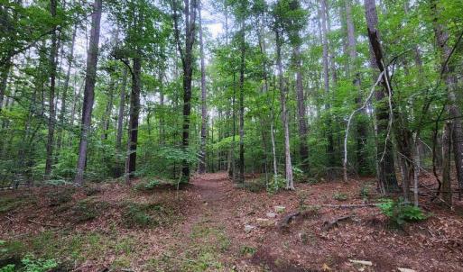 Photo #37 of 272 MOON SHADOW LN, LOUISA, VA 5.0 acres