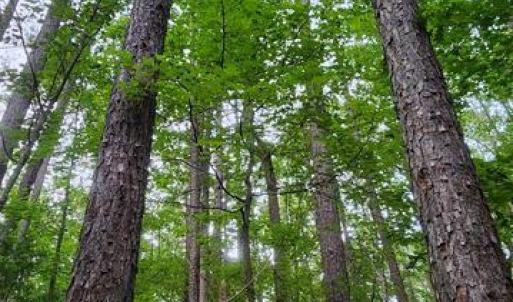 Photo #42 of 272 MOON SHADOW LN, LOUISA, VA 5.0 acres