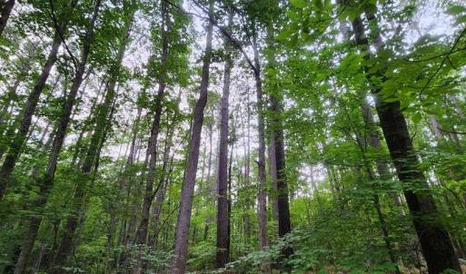 Photo #40 of 272 MOON SHADOW LN, LOUISA, VA 5.0 acres