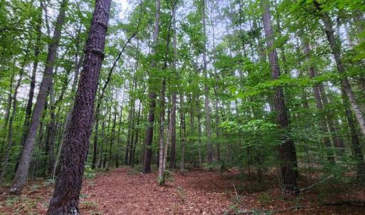 Photo #39 of 272 MOON SHADOW LN, LOUISA, VA 5.0 acres