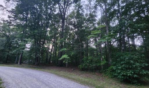 Photo #47 of 272 MOON SHADOW LN, LOUISA, VA 5.0 acres