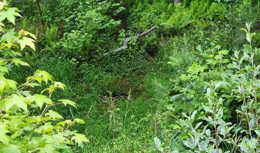 Photo #46 of 272 MOON SHADOW LN, LOUISA, VA 5.0 acres