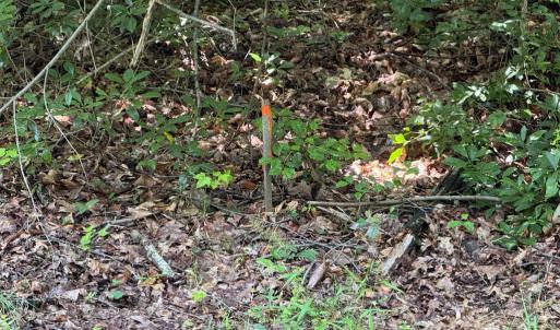 Photo #5 of 9609 PEPPERTREE RD, SPOTSYLVANIA, VA 3.5 acres