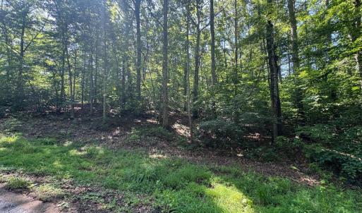 Photo #3 of 9609 PEPPERTREE RD, SPOTSYLVANIA, VA 3.5 acres