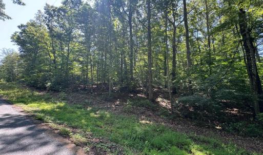 Photo #2 of 9609 PEPPERTREE RD, SPOTSYLVANIA, VA 3.5 acres