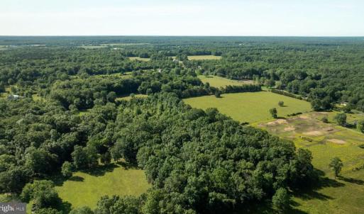Photo #5 of 11243 BLACKWELLTOWN RD, MIDLAND, VA 25.0 acres