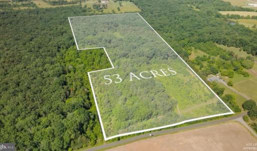 Photo #1 of 11326 ROGUES ROAD N, MIDLAND, VA 52.8 acres