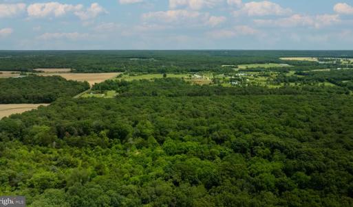 Photo #3 of 11326 ROGUES ROAD N, MIDLAND, VA 52.8 acres