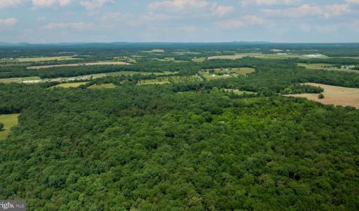Photo #4 of 11326 ROGUES ROAD N, MIDLAND, VA 52.8 acres