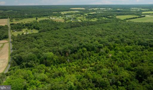 Photo #5 of 11326 ROGUES ROAD N, MIDLAND, VA 52.8 acres