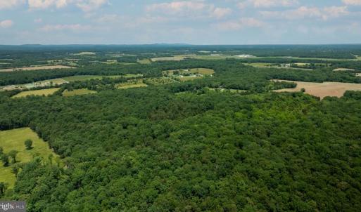 Photo #6 of 11326 ROGUES ROAD N, MIDLAND, VA 52.8 acres