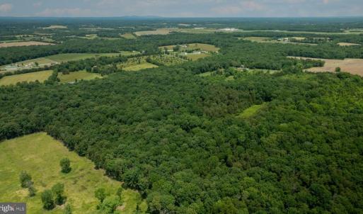 Photo #7 of 11326 ROGUES ROAD N, MIDLAND, VA 52.8 acres
