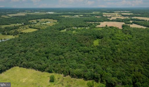 Photo #8 of 11326 ROGUES ROAD N, MIDLAND, VA 52.8 acres