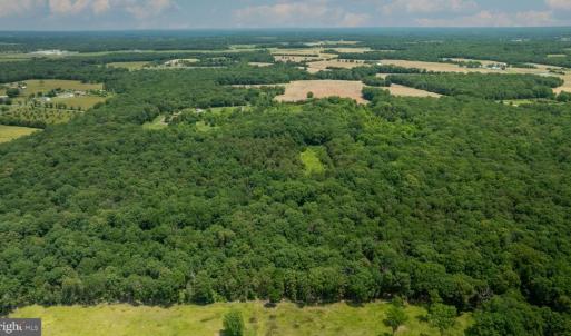 Photo #9 of 11326 ROGUES ROAD N, MIDLAND, VA 52.8 acres