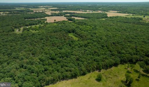 Photo #10 of 11326 ROGUES ROAD N, MIDLAND, VA 52.8 acres